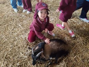 Farm 13
