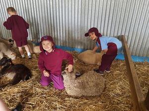 Farm 14