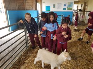 Farm 19