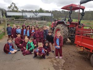 Farm 20