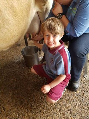 Farm 7