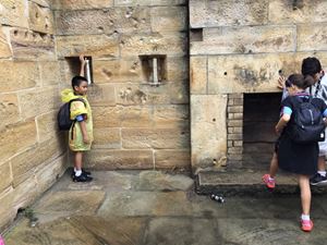 IMG_0062