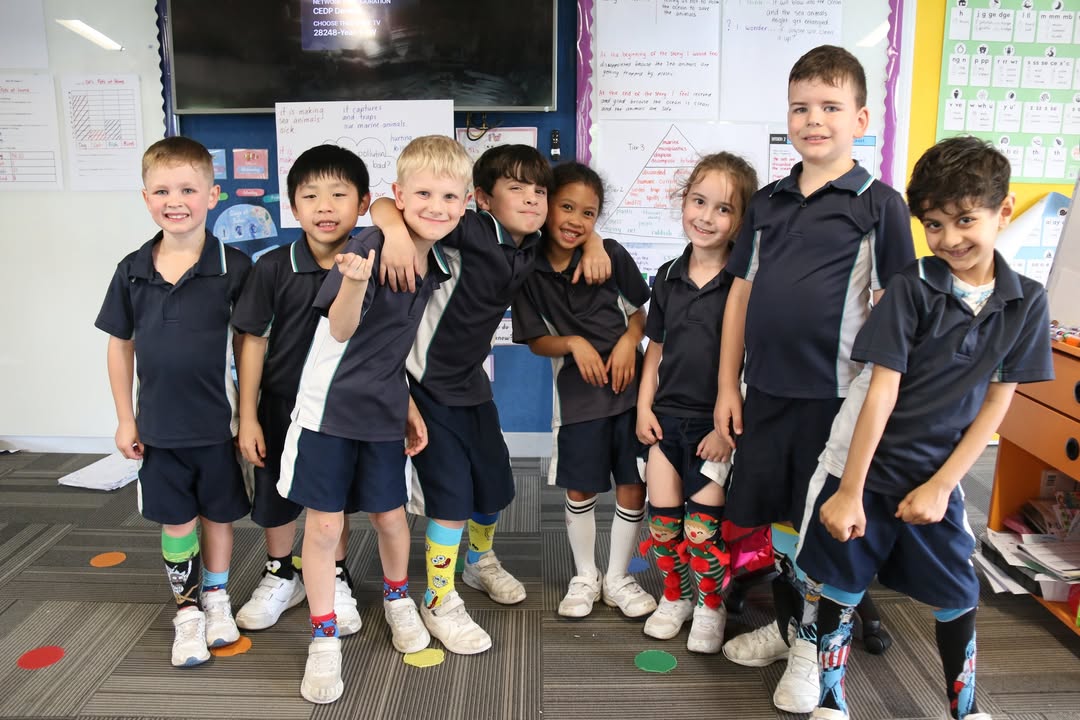 283758994179628_847356691153186-1