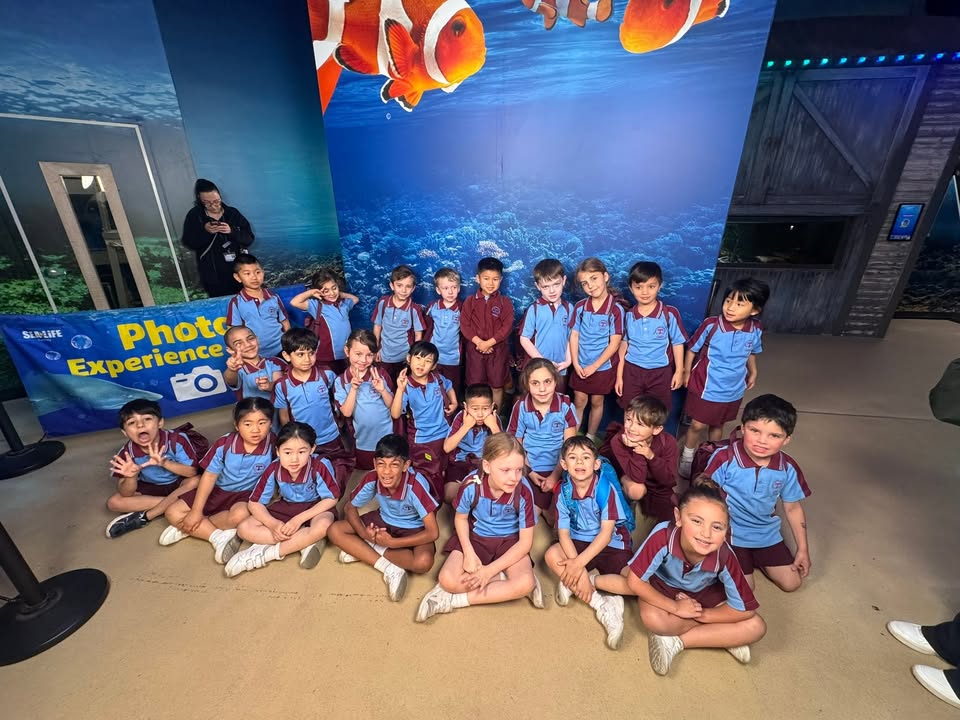 283758994179628_857281123494076-1