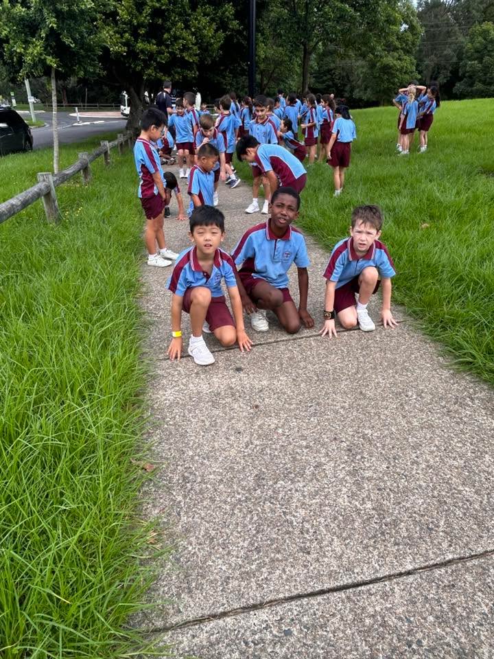 283758994179628_951813444040843-1