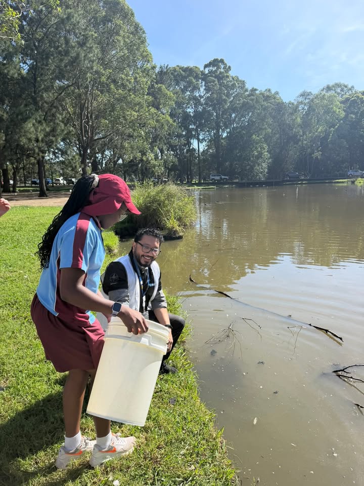 283758994179628_951984247357096-1